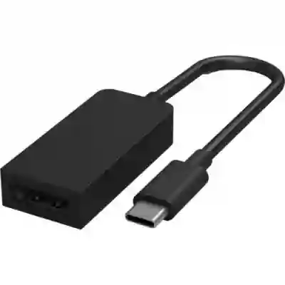 Adaptor Spacer SP-CM-DPF-01, Displayport - USB-C, Black