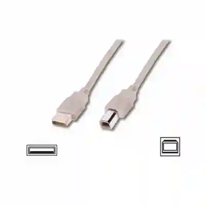 Cable ASSMANN USB 2.0 Male - USB 2.0 Tip B Male, 1.8m, Beige