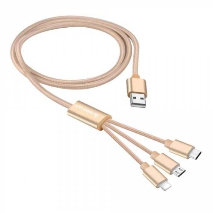 Cablu de date Biostar 3-in-1, USB - Micro USB + Lightning + USB-C, 1.2m, Gold