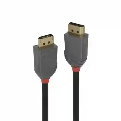 Cablu Lindy LY-36480, DisplayPort - DisplayPort, 0.5m, Black