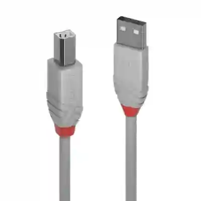 Cablu Lindy LY-36681, USB 2.0 - USB-B, 0.5m, Gray