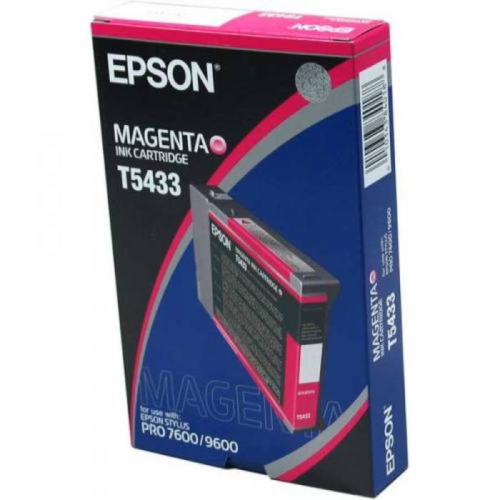 Cartus Cerneala Epson C13T543300