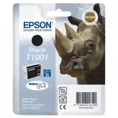 Cartus Cerneala Epson T1001 Black - C13T10014010