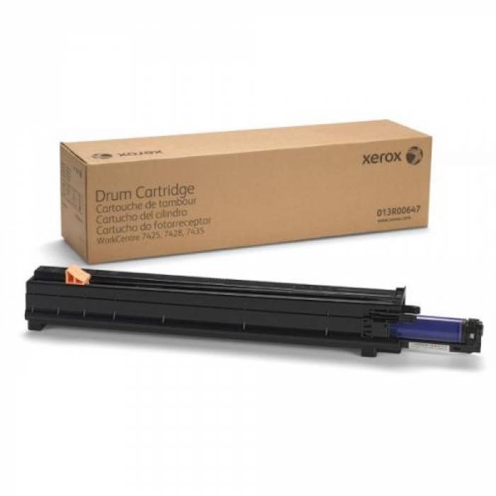 Drum Unit Xerox 013R00647