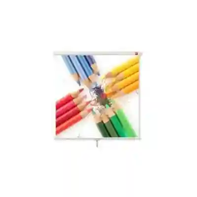 Ecram de proiectie Avtek Wall 200, 200x200cm