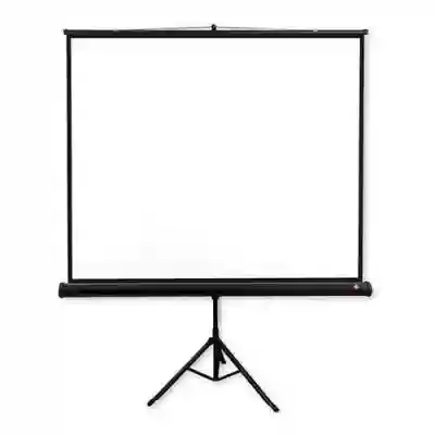 Ecran de proiectie Avtek Pro 180, 180x180 cm
