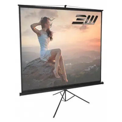 Ecran de proiectie Blackmount 1/1TR150-BM-ECRTRP, 150x150 cm