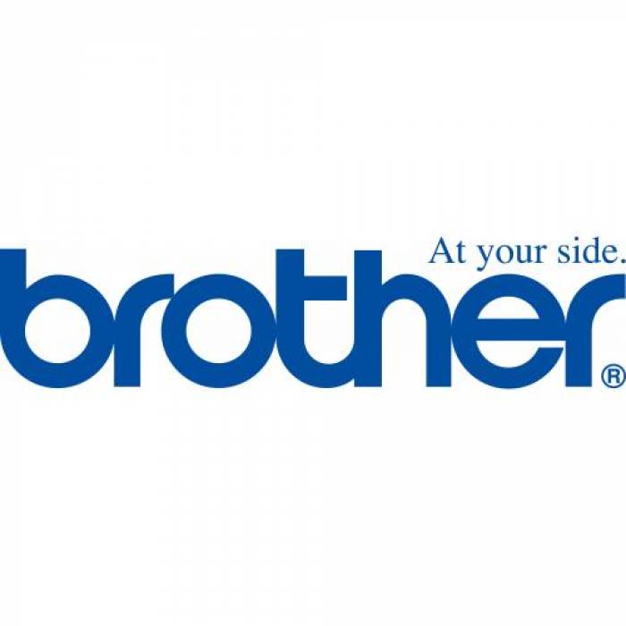 Etichete Brother TZES641