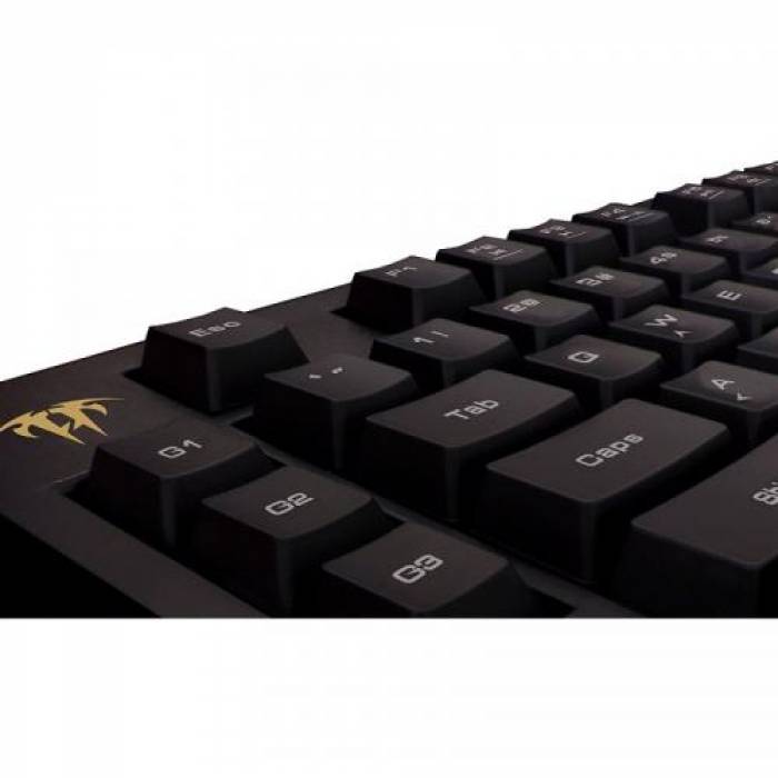 Kit Gamdias Tastatura ARES 7 COLOR ESSENTIAL GKB6001, RGB LED, USB, Black + Mouse optic Erebos LE GMS7309, LED, USB, Black