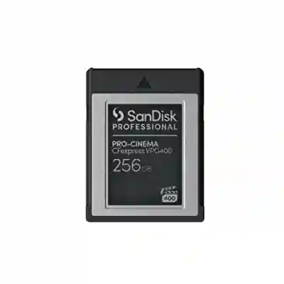 Memory Card CFexpress SanDisk Professional 256GB