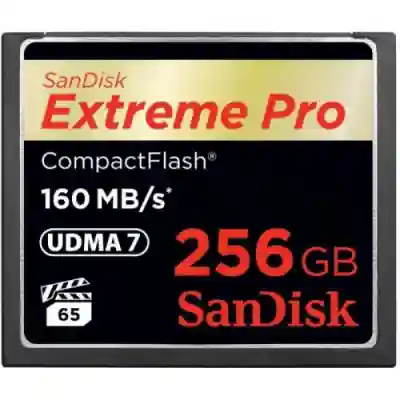 Memory Card Compact Flash SanDisk Extreme PRO 256GB
