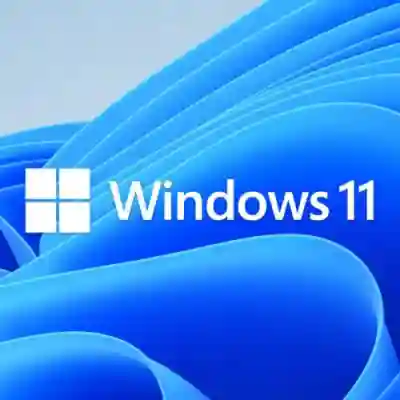 Microsoft Windows 11 Home 64-bit, Engleza, Retail/FPP, USB