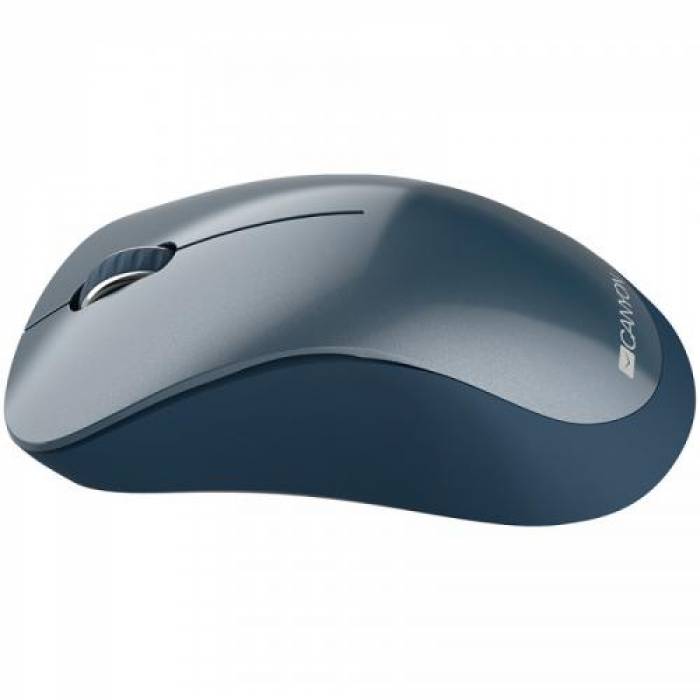 Mouse Canyon CNE-CMSW11BL, USB Wireless, Niagara