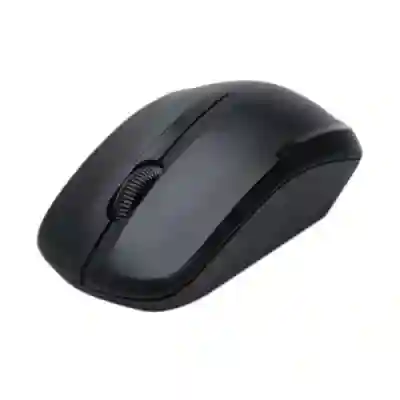 Mouse optic Delux M136, USB Wireless, Black