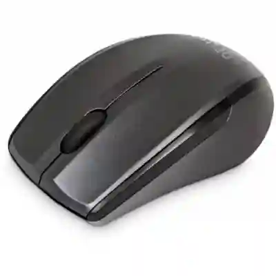 Mouse Optic Delux M321GX-BK, USB Wireless, Black