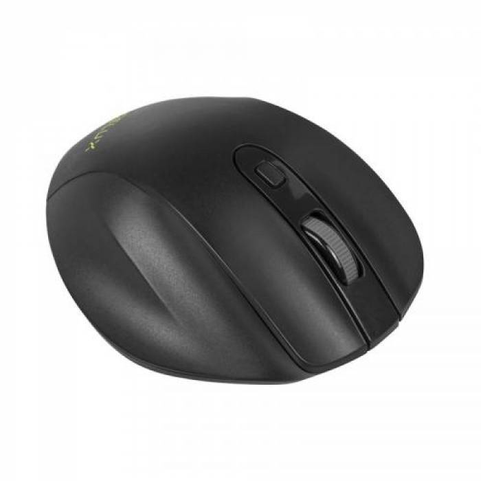 Mouse Optic Delux M517, USB Wireless, Black