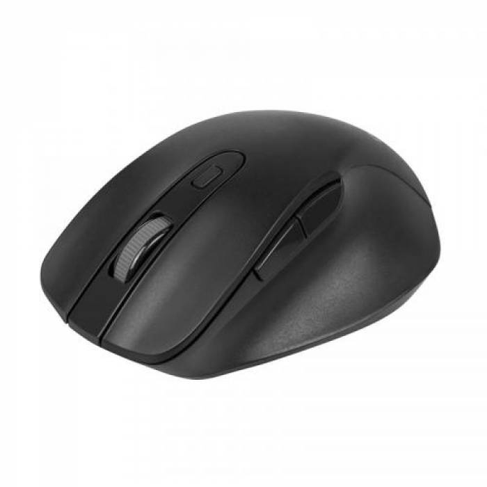 Mouse Optic Delux M517, USB Wireless, Black