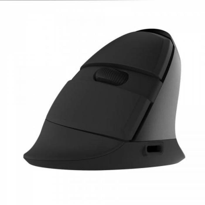 Mouse Optic Delux M618, USB Wireless, Black