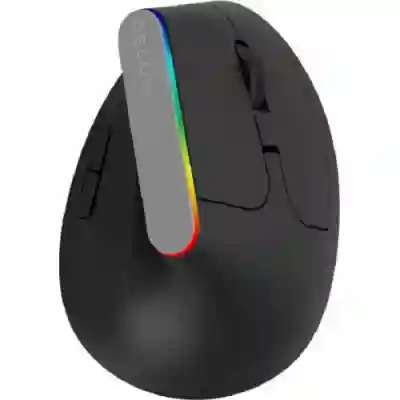 Mouse Optic Delux M618C-BK, USB Wireless, Black