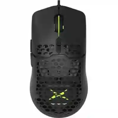 Mouse Optic Delux M700A, USB, Black