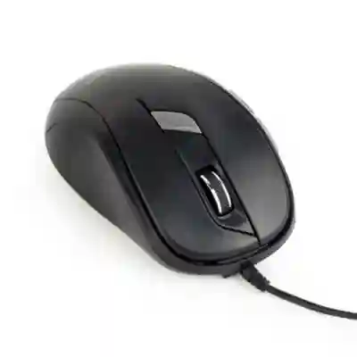 Mouse Optic Gembird MUS-6B-01, USB, Black