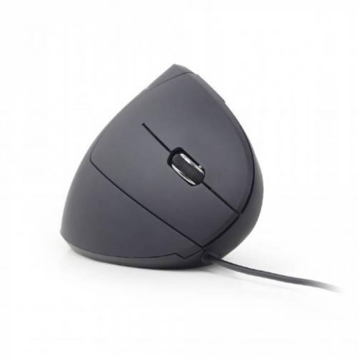 Mouse Optic Gembird MUS-ERGO-01, USB, Black