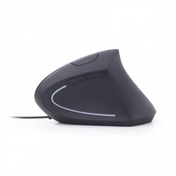 Mouse Optic Gembird MUS-ERGO-01, USB, Black