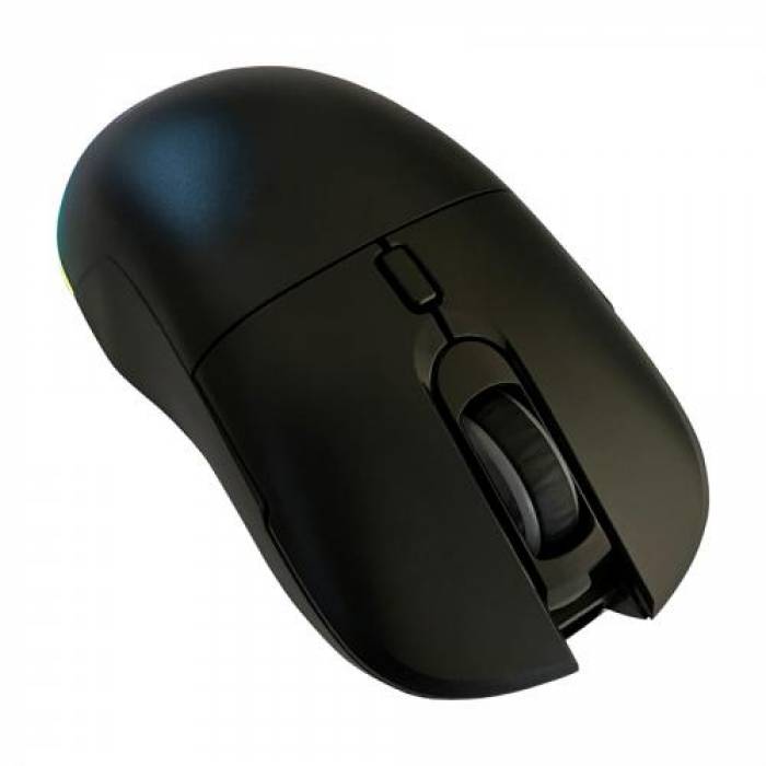 Mouse Optic LC-Power LC-M900B-C-W, USB/USB Wireless, Black