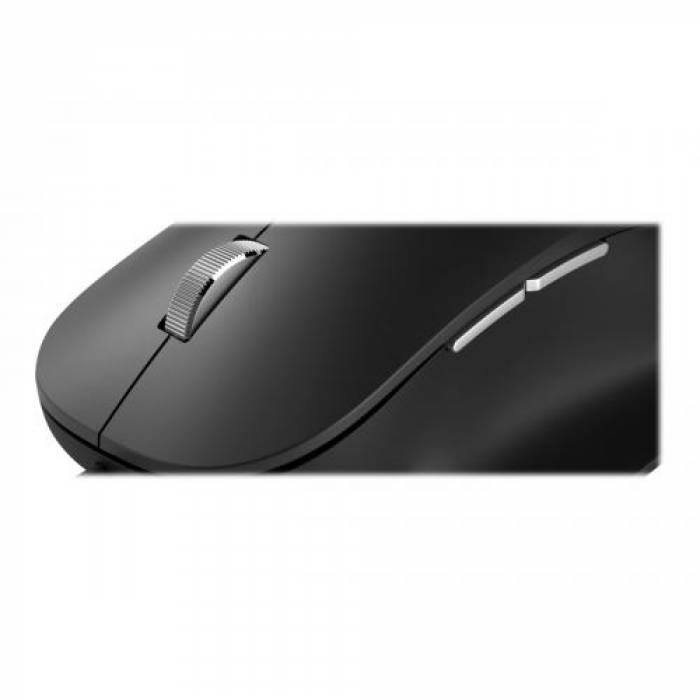 Mouse Optic Microsoft Ergonomic, USB, Black