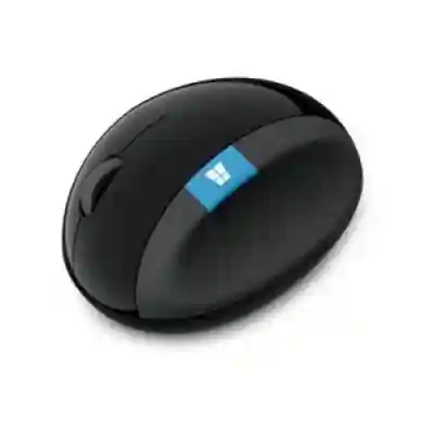 Mouse Optic Microsoft Sculpt Ergonomic for Business, USB Wireless, Black