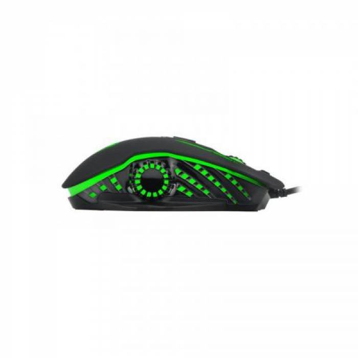 Mouse Optic T-Dagger Recruit, RGB LED, USB, Black