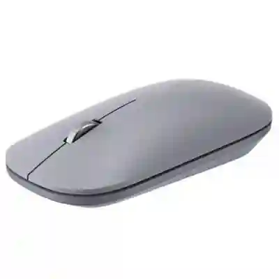 Mouse Optic Ugreen MU001, USB Wireless, Gray