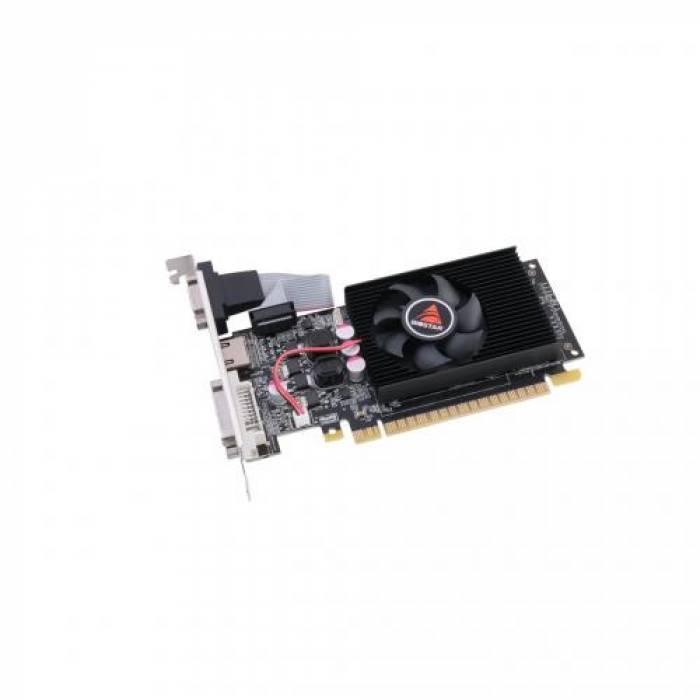 Placa video Biostar nVidia GeForce 210 1GB, GDDR3, 64bit, Low Profile