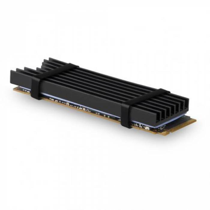 Radiator SSD Axagon CLR-M2L6, Black