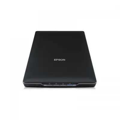 Scanner Epson Perfection V19