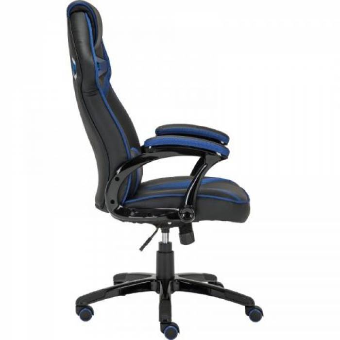 Scaun gaming Inaza Cobra, Black-Blue