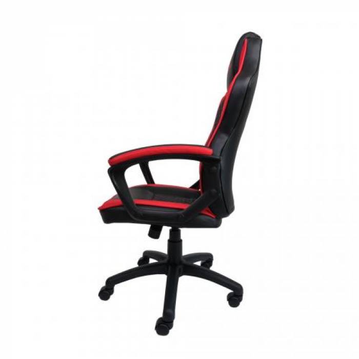 Scaun gaming Inaza Dragon, Black-Red