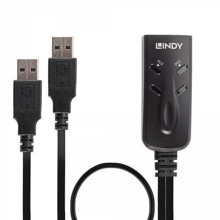 Switch KVM Lindy LY-32165, 2x USB