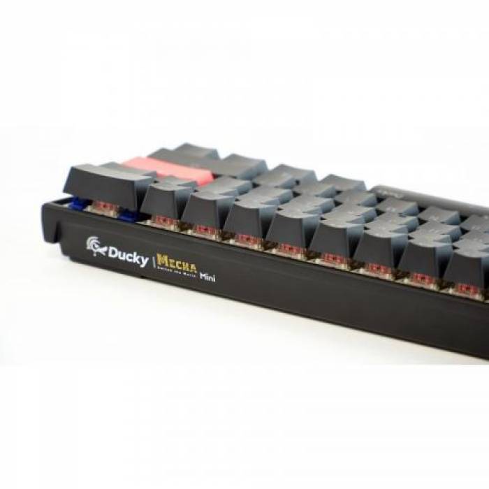Tastatura Ducky Mecha Mini Cherry MX Speed Silver Mecanica, RGB LED, USB, Black