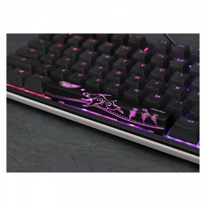 Tastatura Ducky One 2 TKL Cherry MX Blue Mecanica, RGB LED, USB, Black-White