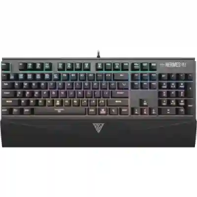 Tastatura Gamdias HERMES M1 Gamdias Brown Mecanica, RGB LED, USB, Black-Silver