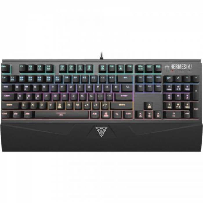 Tastatura Gamdias HERMES M1 Gamdias Brown Mecanica, RGB LED, USB, Black-Silver