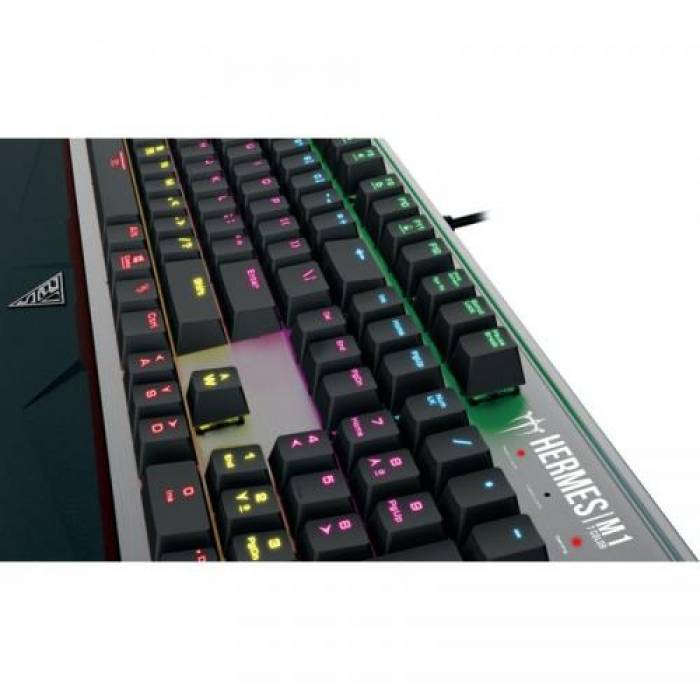 Tastatura Gamdias HERMES M1 Gamdias Brown Mecanica, RGB LED, USB, Black-Silver