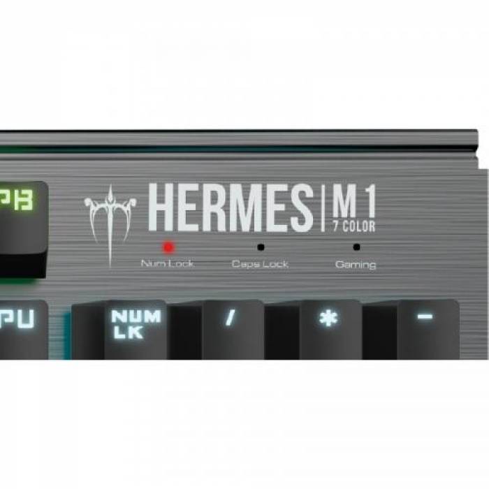 Tastatura Gamdias HERMES M1 Gamdias Brown Mecanica, RGB LED, USB, Black-Silver