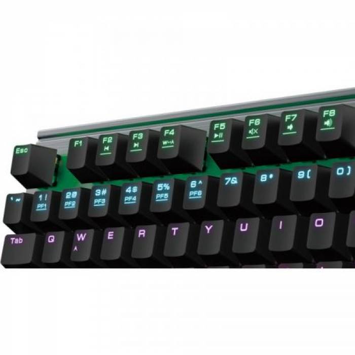 Tastatura Gamdias HERMES M1 Gamdias Brown Mecanica, RGB LED, USB, Black-Silver