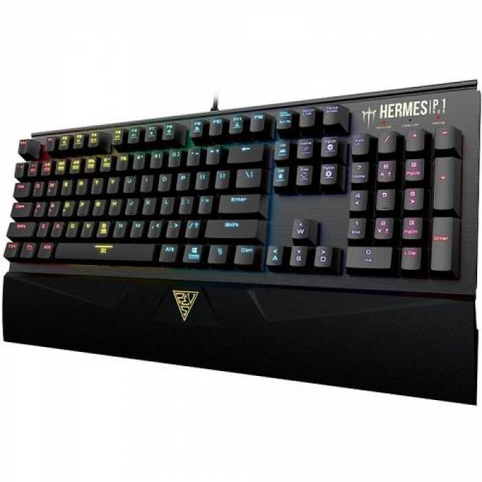 Tastatura Gamdias HERMES P1 Gamdias Brown, RGB LED, USB, Black