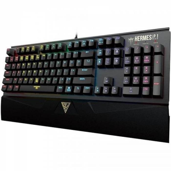 Tastatura Gamdias Hermes P1, RGB LED, USB, Black