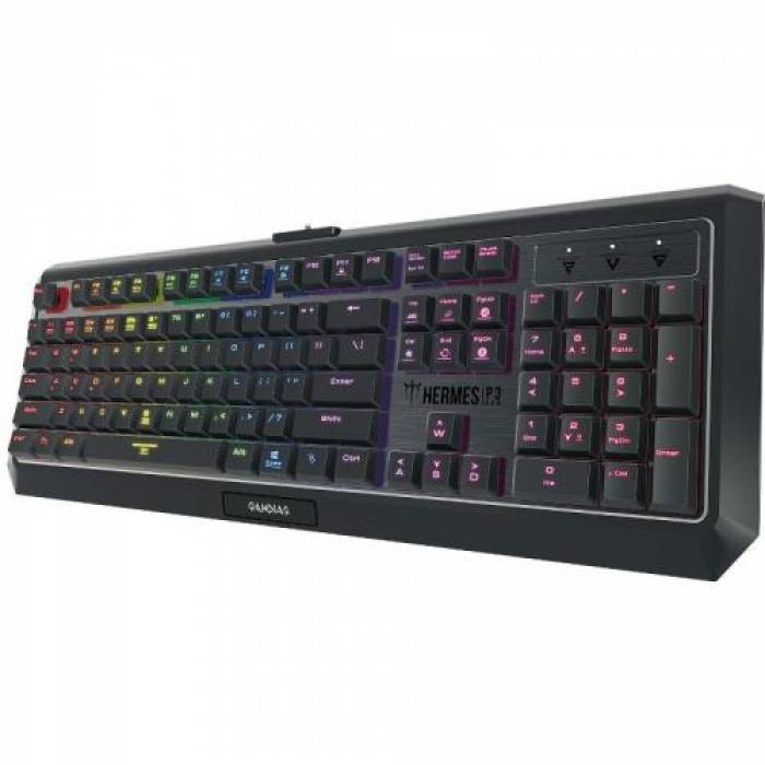 Tastatura Gamdias Hermes P3 Mecanica, RGB LED, USB, Black-Silver