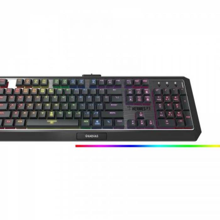 Tastatura Gamdias Hermes P3 Mecanica, RGB LED, USB, Black-Silver