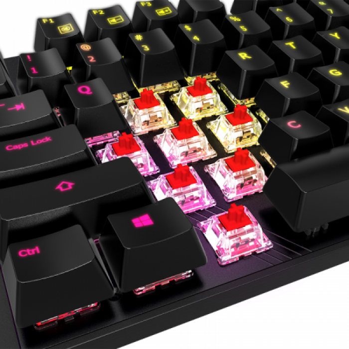 Tastatura Gigabyte AORUS K1 Cherry MX Red, RGB LED, USB, Black